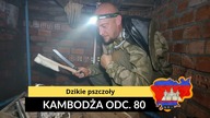 Kambodża - Dzikie pszczoły (odc.  80)