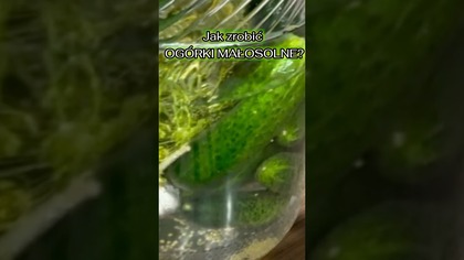 Jak zrobić ogórki małosolne? #shorts #ogórki #kiszonka #małosolne #przepis