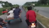 LiveLeak - Buffalo cart racing gone bad