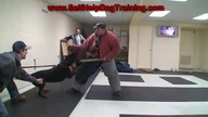 Rottweiler i dogo argentino demonstrują siłę