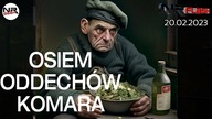 Osiem Oddechów Komara - NRFlash (20. 02. 2023) + english subtitles / polskie napisy