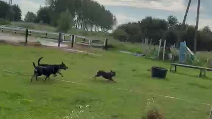 4c600411-4c69-4f32-a575-d5e87b359175 (1)