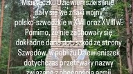 Dziewieniszki.  Pamięć obecności Szwedów.  Dieveniškės.  Švedų buvimo atmintis