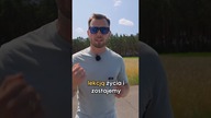 CO ŁĄCZY AUDI I iPHONEA  #shorts #motoryzacja #audi