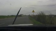 Wypadek z sarną