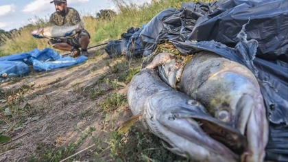 SKAŻENIE ODRY PRZYNIESIE GORSZE SKUTKI OD CZARNOBYLU ! GOSPODARKA ZAGROŻONA