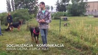 Socjalizacja: Pedro i Diuna