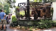 Warszawskie ZOO, 2017.