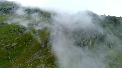 Karpaty - królestwo niedźwiedzia .  (2024) 