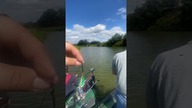 Tajna przynęta na PZW