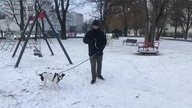 Zorka spacerek z pieskiem