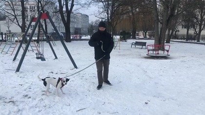 Zorka spacerek z pieskiem