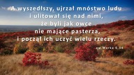 Audycja Wyzwolony - Brett McCormick