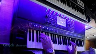 Grajek (Instrumental cover)