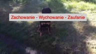 Zachowanie - wychowanie - zaufanie