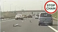 Kolizja 5-ciu aut na autostradzie A4 - zachowaj odstęp #1055 Wasze Filmy