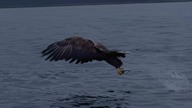 0962 S01E01 Wybrzeże Wikingów [720p. WEB-DL. H264. EAC3. 5. 1-NitroTeam] [Napisy ENG-PL] [ENG-Lektor