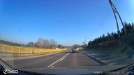 Pasy + podwójna