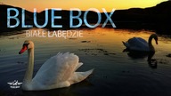 Blue Box - Białe Łabędzie [Disco Polo 2018] (Official Audio)