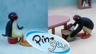 Pingu - Dlaczego ta bajka jest nienormalna 3