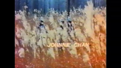 Złoty Smok Srebrny Wąż.  Karate.  VID-1701291911357