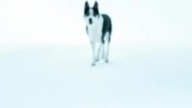 Czarodziejka Lili-Smok i Magiczna Księga 2009 Dubbing DVDRiP. XviD[JoannaC]