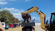 Gigantyczny 700 kg żółw wyrzucony na plażę w Hiszpanii