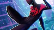 remix sunflower spiderman