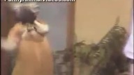 Szalony kangur w TV