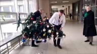 Grzegorz Braun usuwa z sądu lewacką choinkę agitacyjną i wyrzuca ją do śmietnika!
