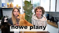 IDZIE NOWE - DOMOWY VLOG
