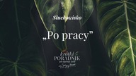 Słuchowisko #17 | Po pracy | Krótki poradnik jak ogarnąć życie [PODCAST]