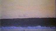 Rekin z Bora Bora ( Sea Killer ) 1981 VHSRip Lektor PL