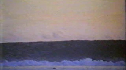 Rekin z Bora Bora ( Sea Killer ) 1981 VHSRip Lektor PL