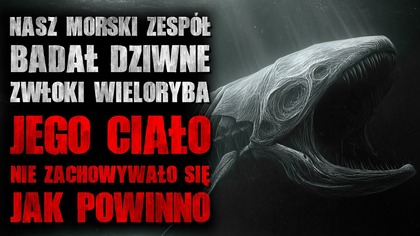 To coś powróciło i nadeszła pora na kolejne polowanie. 

 Szukasz więcej grozy? Odwiedź sklep z moimi audiobookami: https://zaczytelnia.pl/

Dołącz na serwer discord miłośników creepypast! Miej kontakt z lektorami oraz autorami z takich kanałów jak Quadrotes, Zaczytany i wiele innych. Raj Utraconych czeka: https://discord.com/invite/4W5ZYDTZjY

Credited to RooMorgue https://www.reddit.com/r/nosleep/comments/1kbra0f/theres_something_horribly_wrong_with_the_whale/ 

Mail: zaczytanyczyta@gmail.com
Discord: https://discord.gg/ntv8zVd
Fanpage: https://www.facebook.com/Zaczytany.czaplicki
Instagram: https://www.instagram.com/czaplicki_vel_zaczytany/
-------------------------------------------
Music provided by @RoyaltyFreeZone  and @Myuu 

Licensed under Creative Commons Attribution 3.0
https://creativecommons.org/licenses/by/3.0/