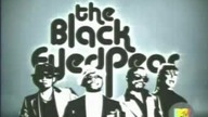 Black Eyed Peas - My Humps(Video)