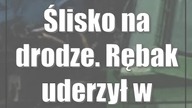 Ślisko na drodze.  Rębak uderzył w budynek