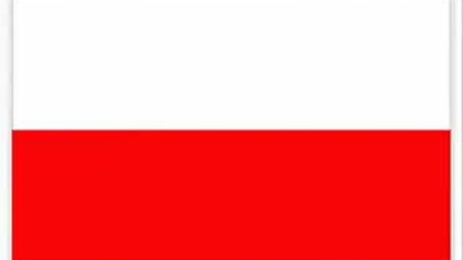 Artur Boruc wyciąga okienko