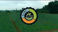 REDTOP - 04-04-2023 - Reklama (fragment), Zapowiedzi
