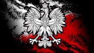 Kisaro X Remo - Wielka Polska