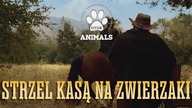 Strzel kasą na zwierzaki