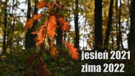 Zlotoryja-autumn-winter - sigma1750 f28