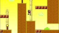 Mario Forever Eastern Village World 3 SakuraMotchi 2020