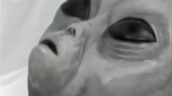 Dzień po Roswell.  Dokument
