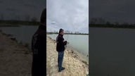 Ale spinka podczas holu wielkiego Karpia
