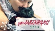 pseudoVLOGMAS #1 Donka u Weterynarza!