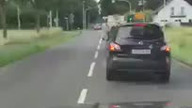 Tymczasem w Niemczech