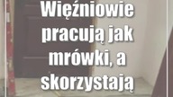 Więźniowie pracują jak mrówki, a skorzystają strażnicy