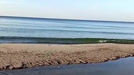 Plażowanie 1 Października! Pogoda nad Bałtykiem lepsza niż w sierpniu! Morski Pies Rubik i Sarmata!