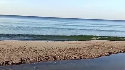 Plażowanie 1 Października! Pogoda nad Bałtykiem lepsza niż w sierpniu! Morski Pies Rubik i Sarmata!